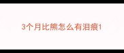 3个月比熊怎么有泪痕