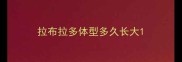 拉布拉多体型多久长大