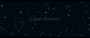 公边牧和什么狗杂交好