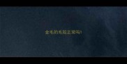 金毛的毛短正常吗