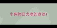 小狗伪狂犬病的症状