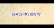 猫咪定时吃饭好吗