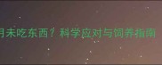 哈士奇怀孕半月未吃东西科学应对与饲养指南附兽医建议