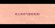 哈士奇帅气壁纸高清