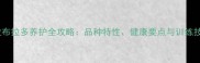 黑色拉布拉多养护全攻略品种特性健康要点与训练技巧大