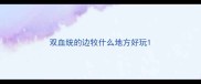 双血统的边牧什么地方好玩