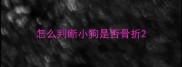 怎么判断小狗是否骨折