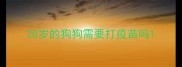 20岁的狗狗需要打疫苗吗