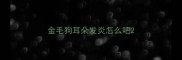 金毛狗耳朵发炎怎么吧