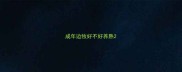 成年边牧好不好养熟