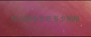 哈士奇半岁吃多少狗粮