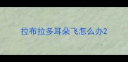 拉布拉多耳朵飞怎么办