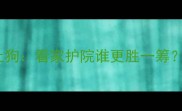 哈士奇VS土狗看家护院谁更胜一筹专业对比