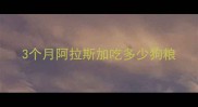 3个月阿拉斯加吃多少狗粮