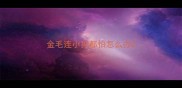 金毛连小狗都怕怎么办