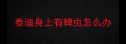 泰迪身上有蜱虫怎么办