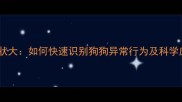 狂犬病症状大如何快速识别狗狗异常行为及科学应对指南