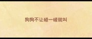 狗狗不让碰一碰就叫