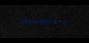边牧幼犬需要补充什么