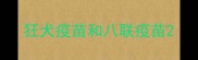 狂犬疫苗和八联疫苗