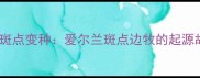 边境牧羊犬的斑点变种爱尔兰斑点边牧的起源故事与培育全