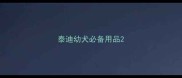 泰迪幼犬必备用品