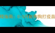 幼犬狂犬疫苗接种全流程指南0-3月龄狗狗打疫苗的最佳时间和注意事项