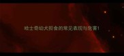 哈士奇幼犬拒食的常见表现与危害