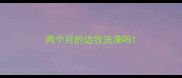 两个月的边牧洗澡吗