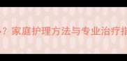 猫咪脚掌受伤怎么办家庭护理方法与专业治疗指南附自救步骤