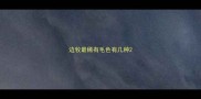 边牧最稀有毛色有几种