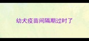 幼犬疫苗间隔期过时了
