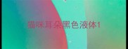 猫咪耳朵黑色液体