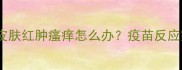 狗狗接种疫苗后皮肤红肿瘙痒怎么办疫苗反应家庭护理全指南