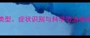 猫咪皮肤病全常见类型症状识别与科学防治指南附专业治疗建议