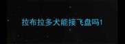 拉布拉多犬能接飞盘吗
