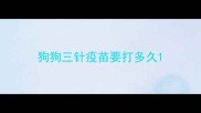 狗狗三针疫苗要打多久