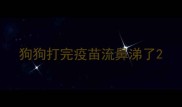 狗狗打完疫苗流鼻涕了