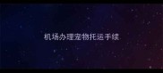 机场办理宠物托运手续