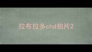 拉布拉多chd拍片