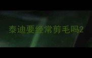 泰迪要经常剪毛吗