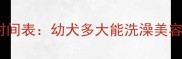 泰迪犬美容的最佳时间表幼犬多大能洗澡美容科学护理全指南