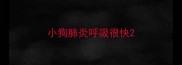 小狗肺炎呼吸很快
