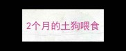 2个月的土狗喂食