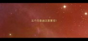 五个月泰迪注意事项