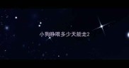 小狗睁眼多少天能走
