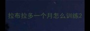 拉布拉多一个月怎么训练