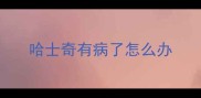 哈士奇有病了怎么办