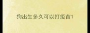狗出生多久可以打疫苗