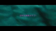 边牧生病鼻头干了